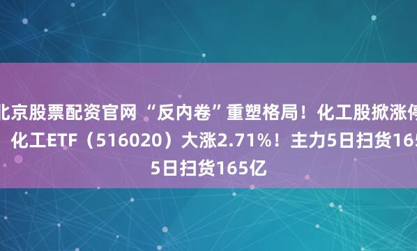 北京股票配资官网 “反内卷”重塑格局！化工股掀涨停潮，化工ETF（516020）大涨2.71%！主力5日扫货165亿